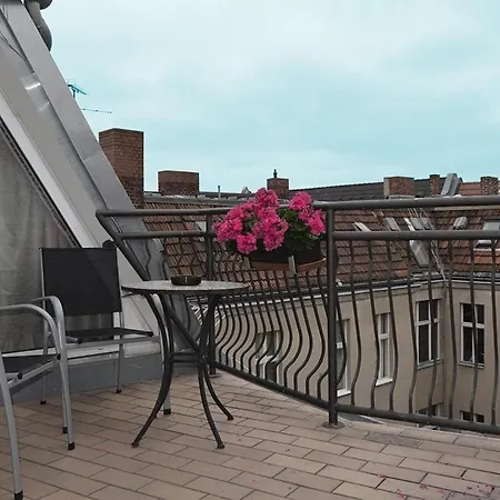 بيت ضيافة Bella